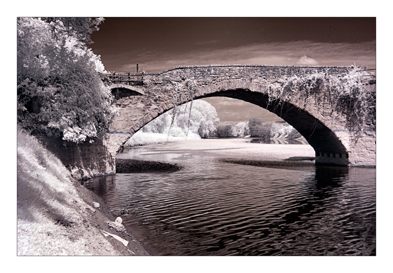 .:.L'arcata del ponte .:.