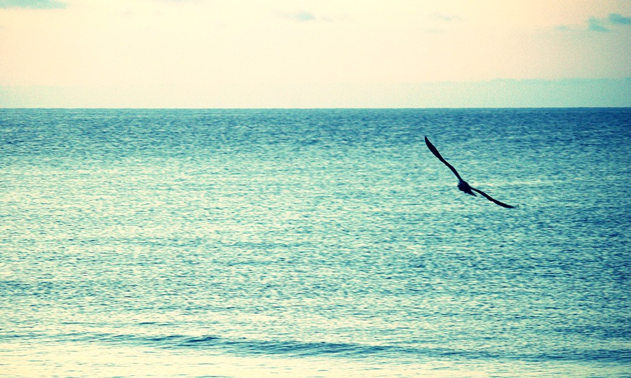 WindMaster