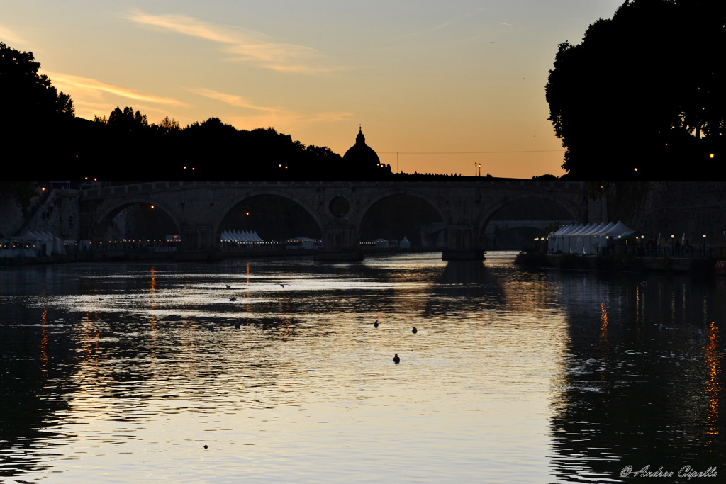 Er Biondo Tevere 2