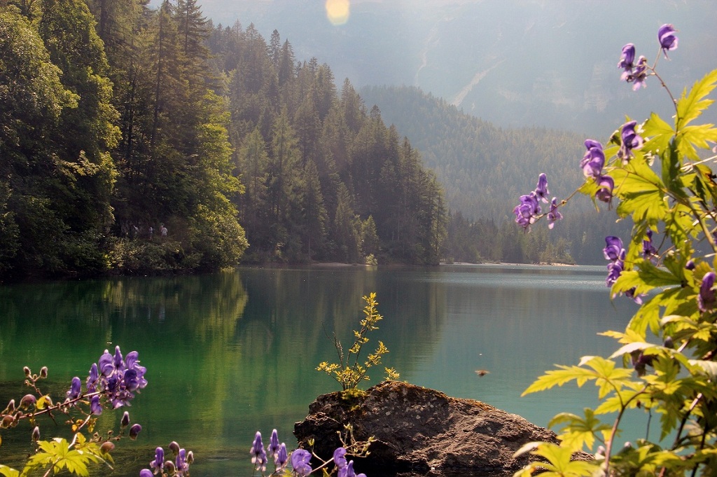 Riflesso fastidioso del sole