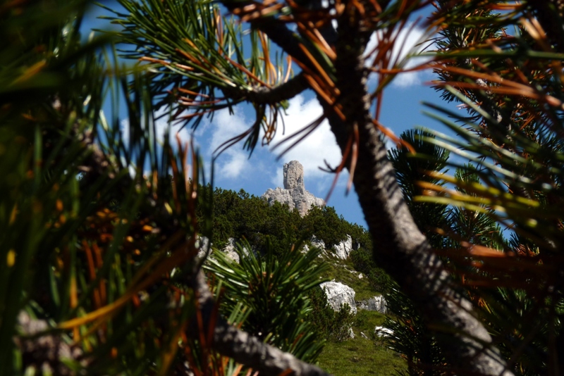 Castelletto di Brenta