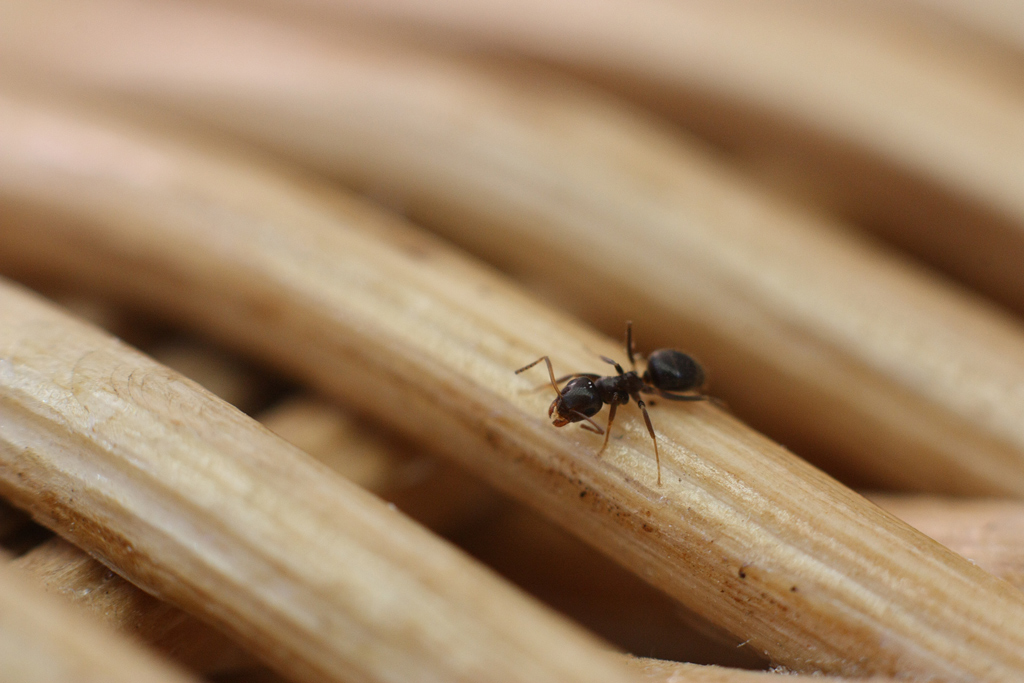 alla ricerca di nuovi mondi...