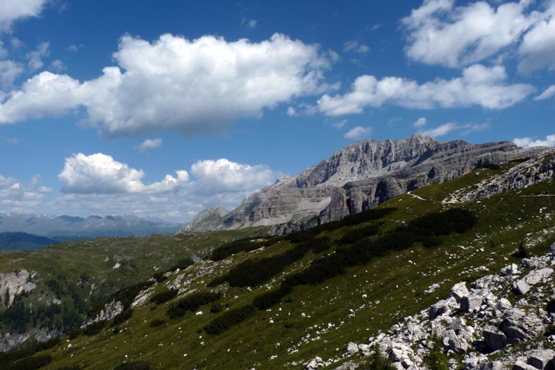 sembra un'ombra ma non �...