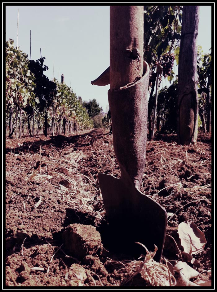 � un duro lavoro...