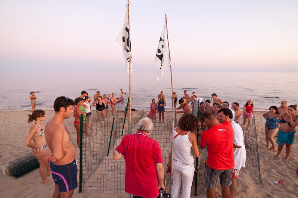 Schiusa uova tartarughe caretta caretta