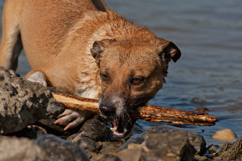 Incontro Inaspettato