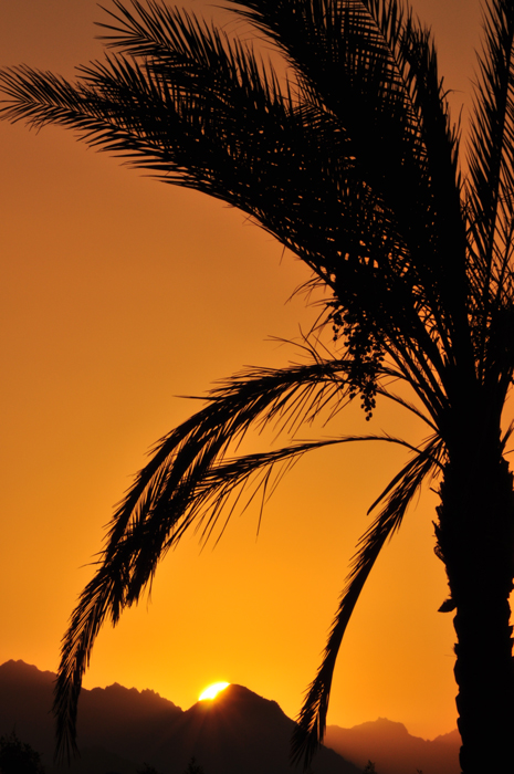 in silenzio ad osservare....