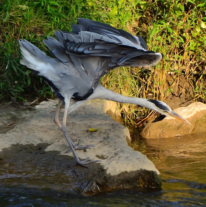 Mi � sembrato di aver visto qualcosa !