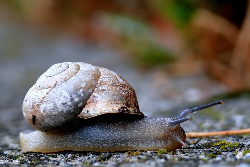 Se chiudevi un po' di pi�....