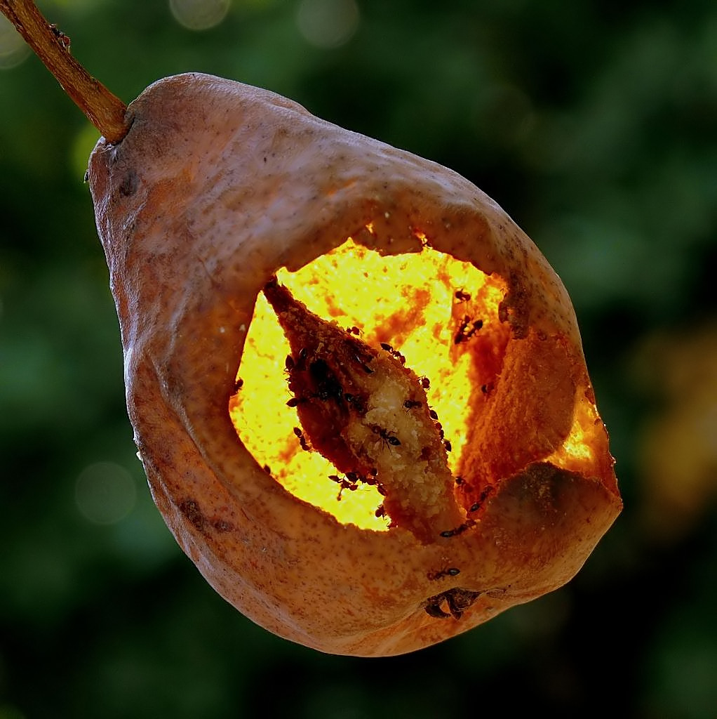 Ristorante pieno anche oggi!!!