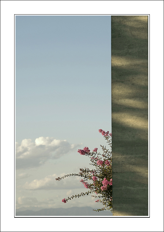 Quando quel rosa si affacciava...