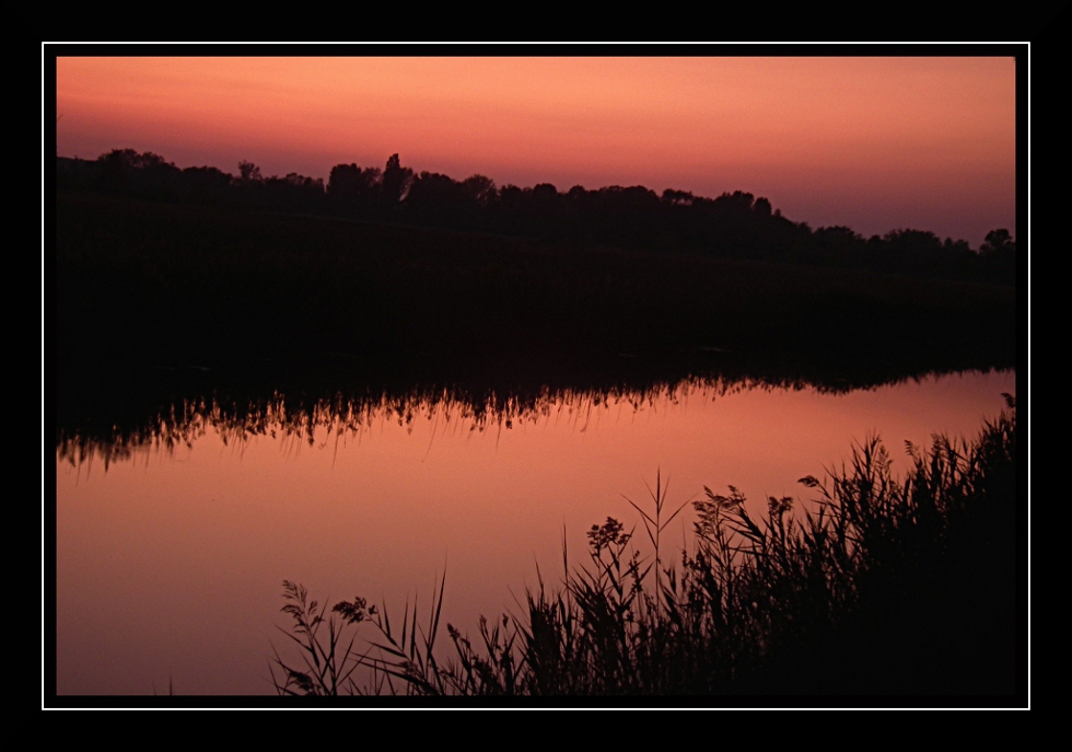 ....palude al tramonto....