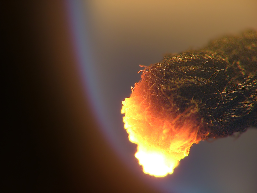 nel cuore della fiamma