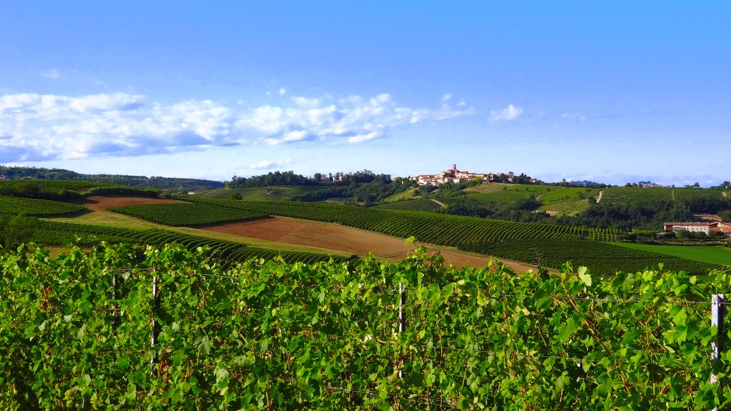 Monferrato