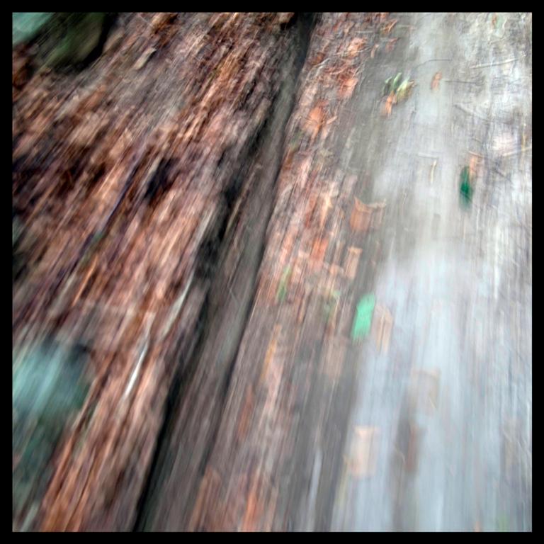 Psychedelic wood