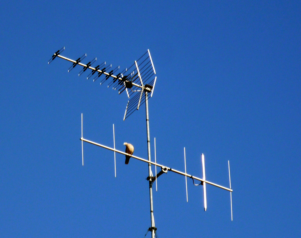 96  IO......IL SOLE ME LO GODO DA QUI....