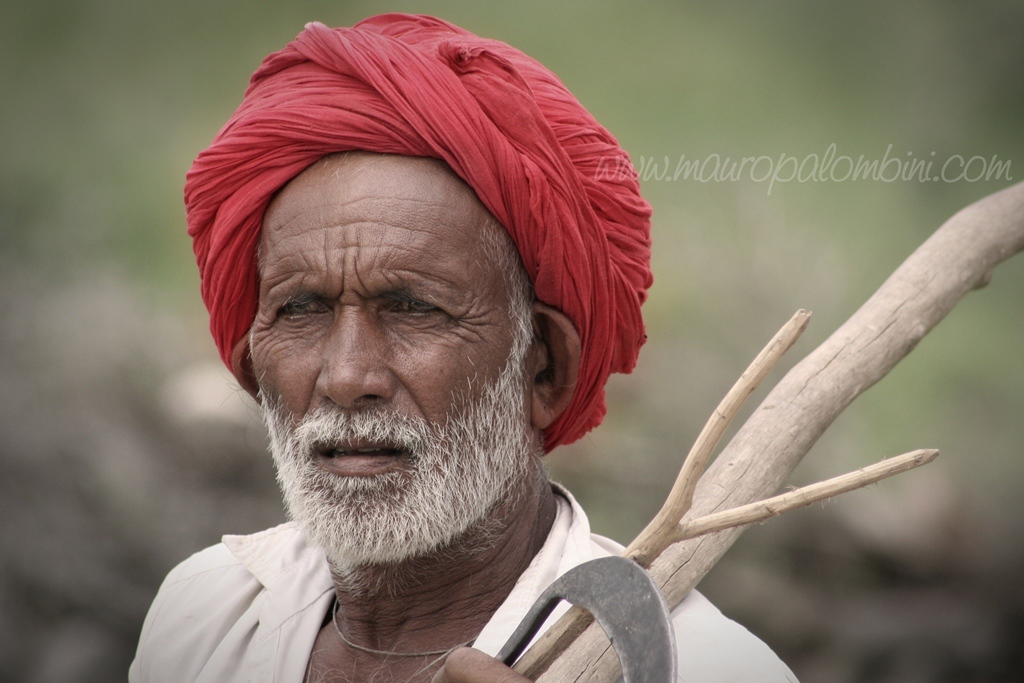 Tra qualche parte tra Cittorghar & Bundi