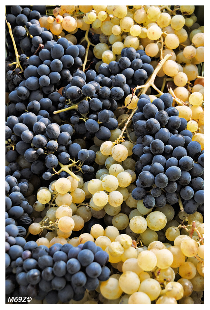 "bianco e nero" .... a colori