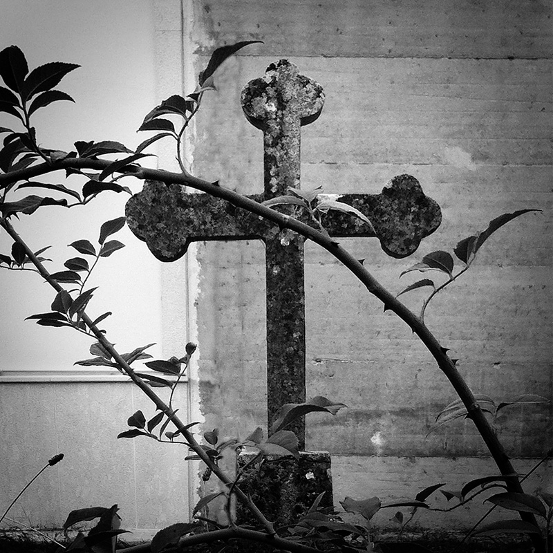 You won't find faith or hope through a lens