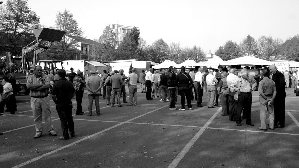 Il mercato del bestiame