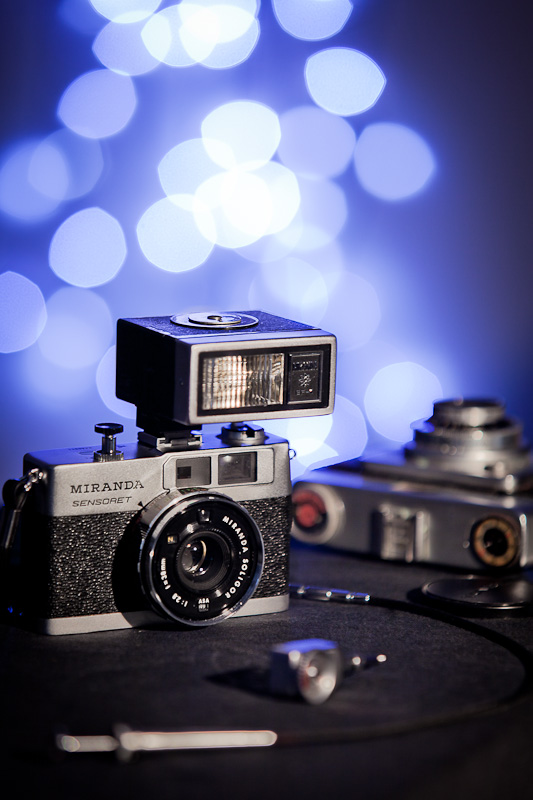 Backlight (Contest Bokeh)