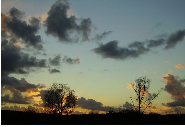 finalmente se ne vanno..