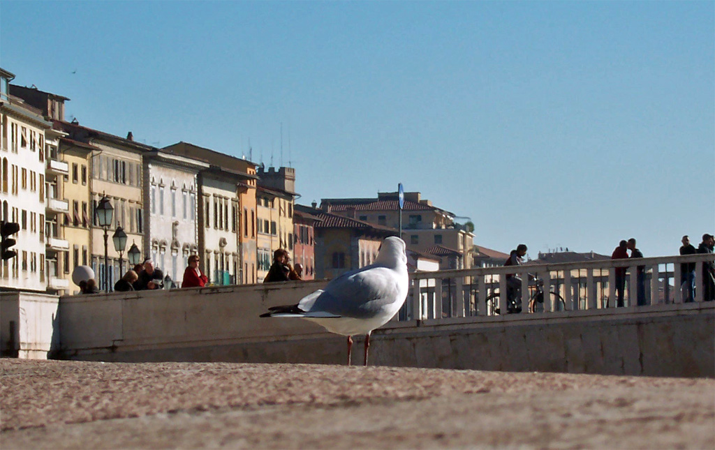 Ooops... Mi Son Girato Troppo Presto...!!