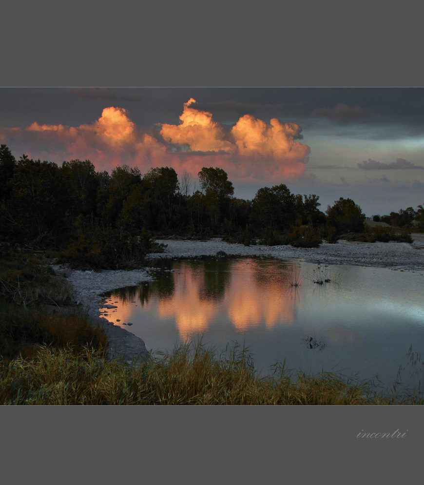 stagno preferito (compatta)