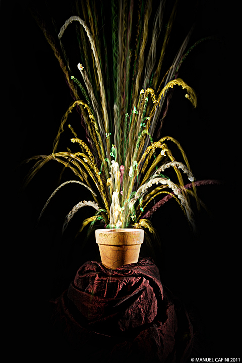 Van Gogh?!Chi e'?! o_O