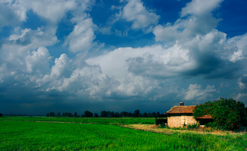 I pachidermi del cielo