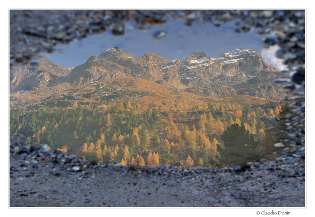 The Alps in a puddle