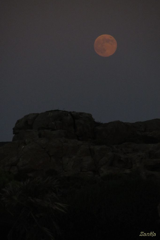 Cosa fai in ciel silenziosa luna?