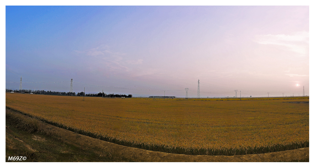 tardo pomeriggio in risaia