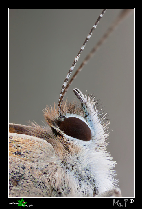 ...Non perdiamoci di vista...