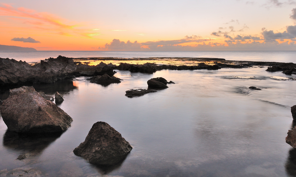 Setosit� pacifiche