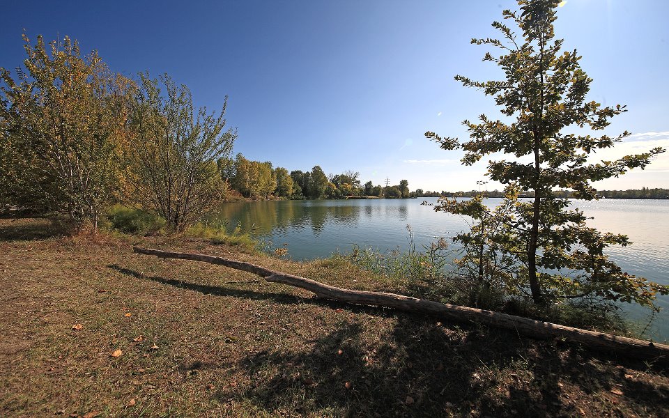 Lago di Campogalliano (MO)