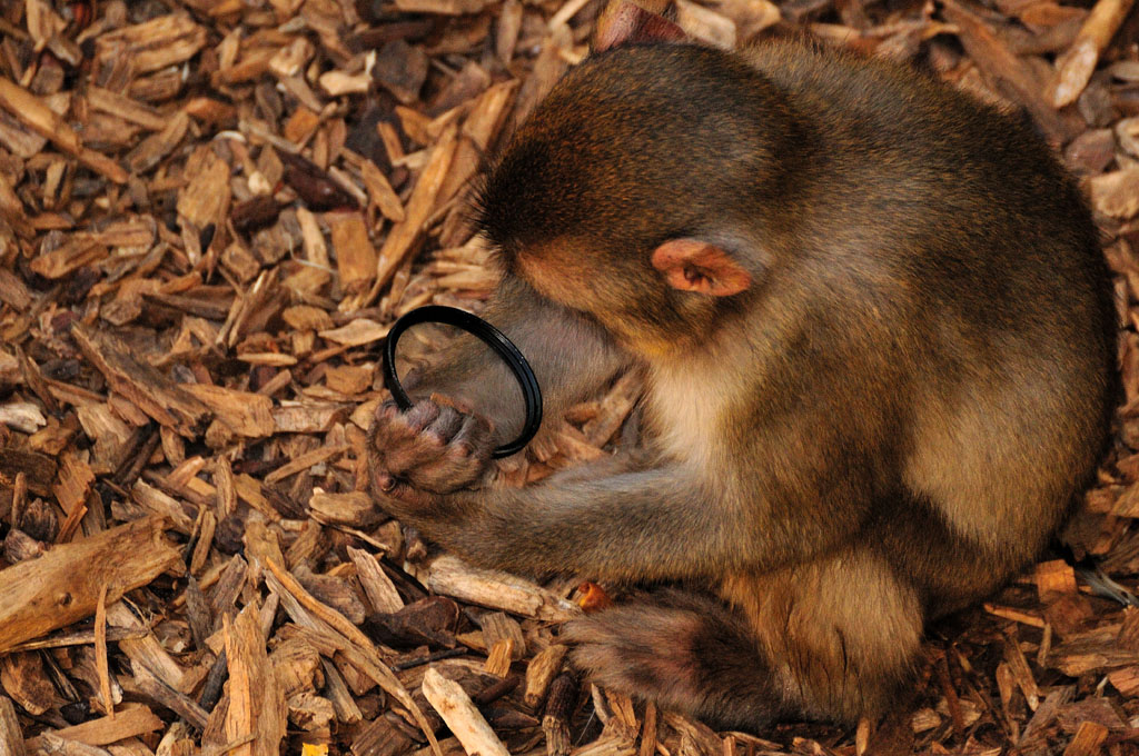 .. ma come si usa 'sto filtro?