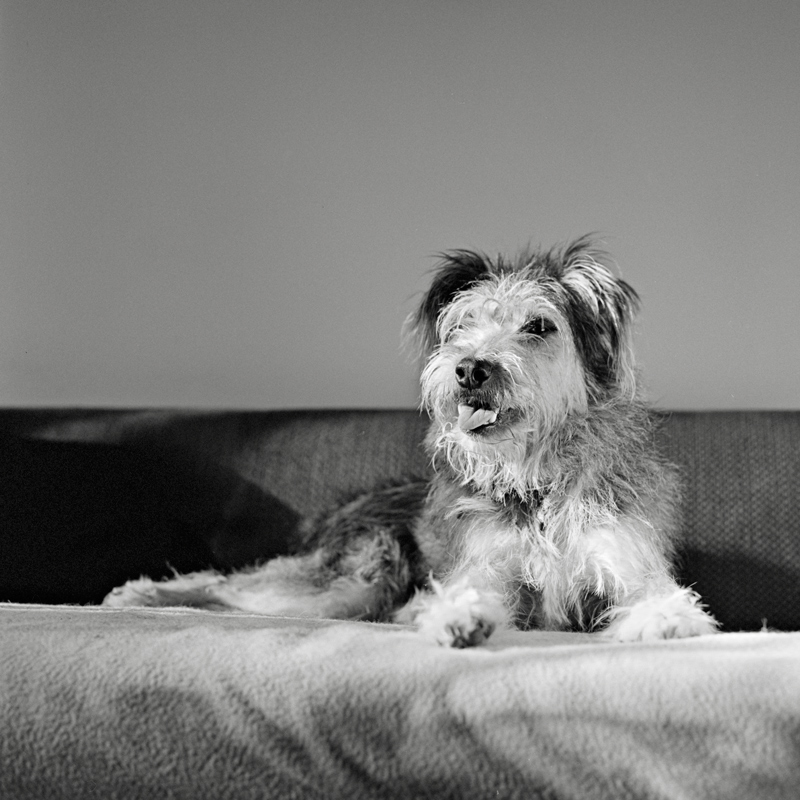 infotografabile Pina