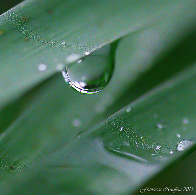 Dopo-la-pioggia.-Seconda-serie-....