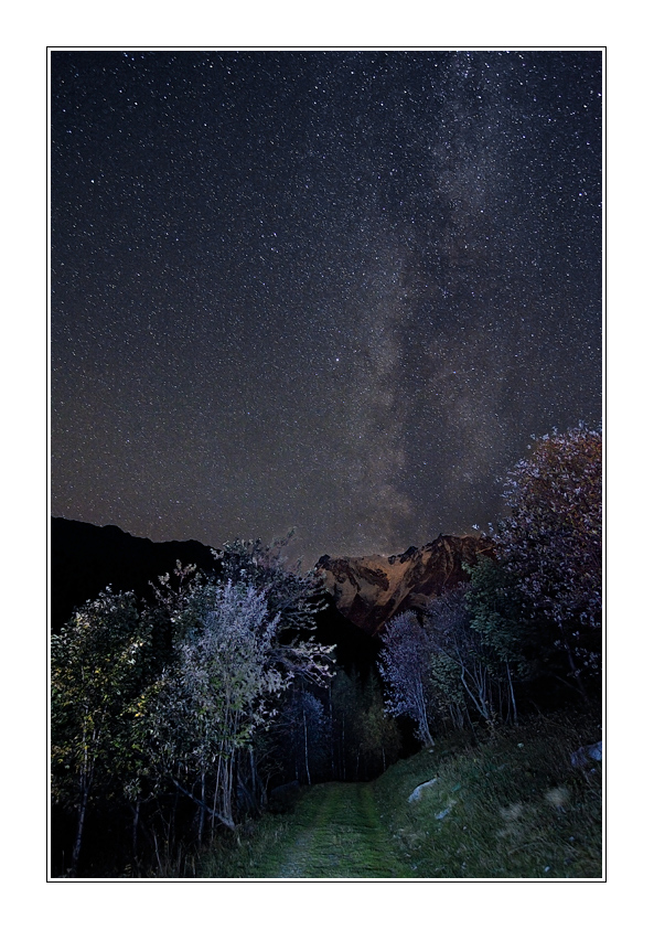 Il Rosa sotto le stelle