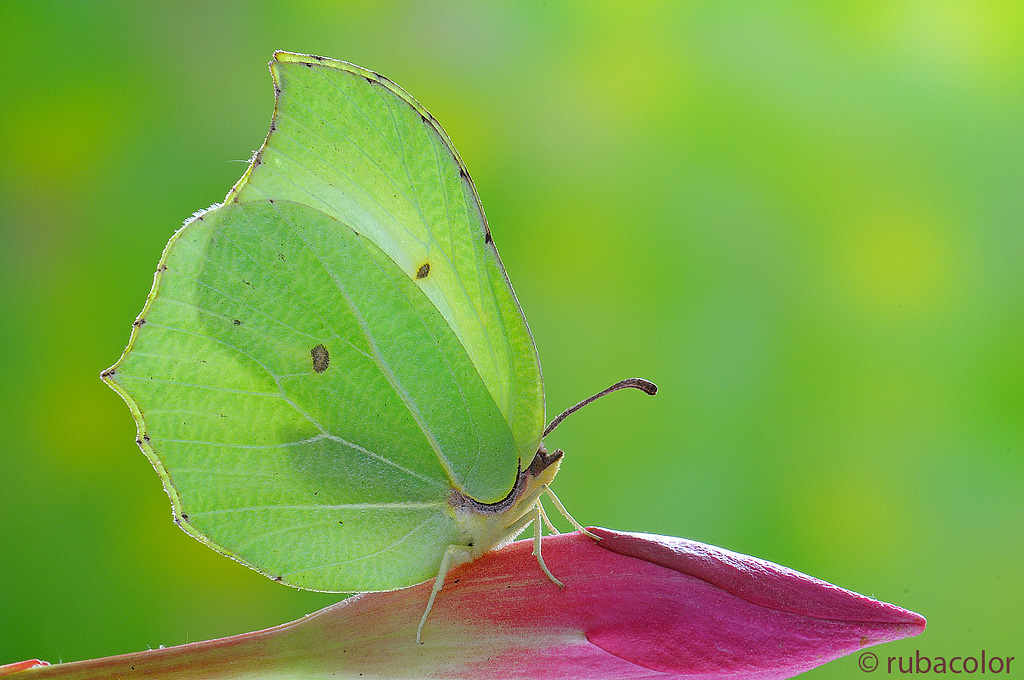 Appuntamento con la luce