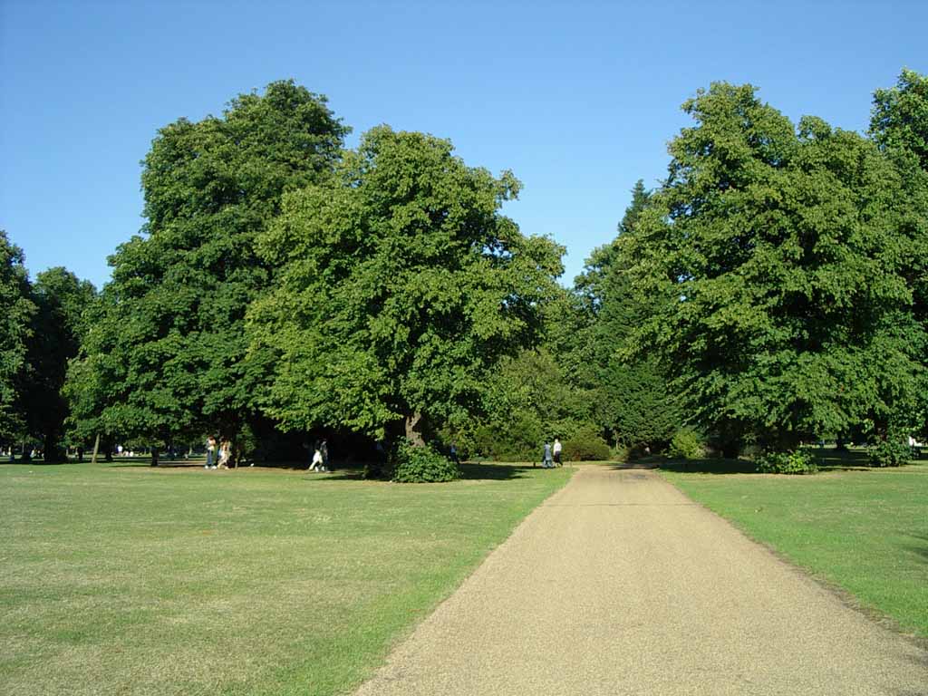 La lunga strada verso casa