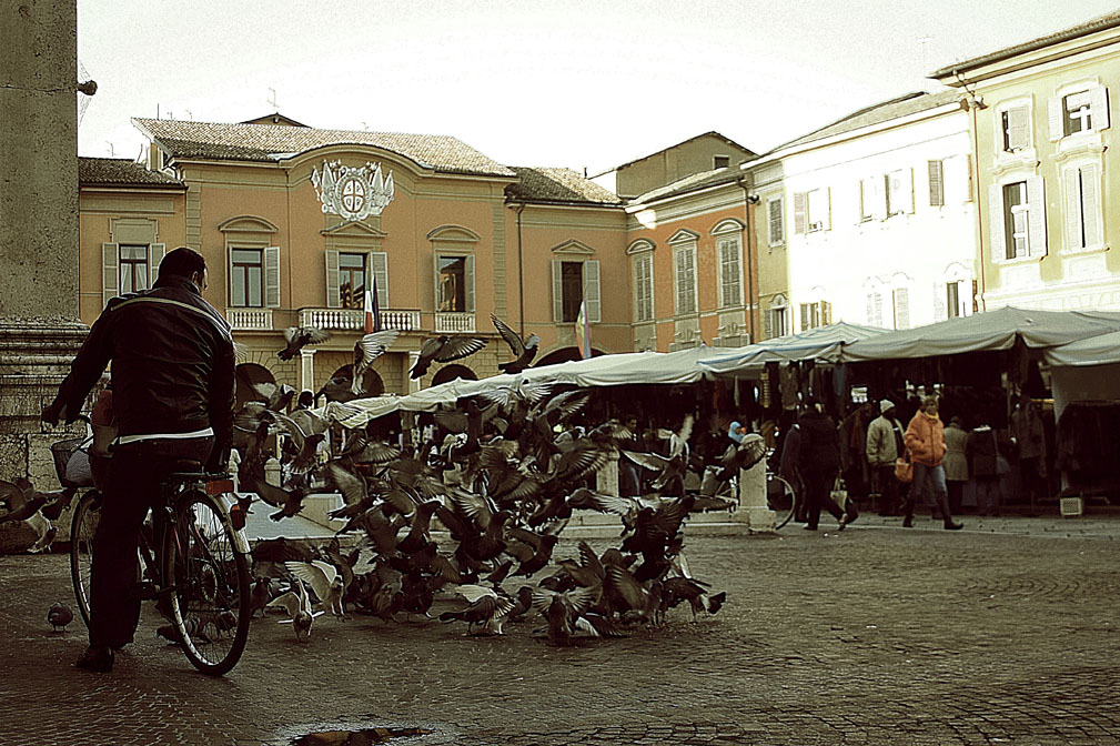 i colombi di reggio emilia