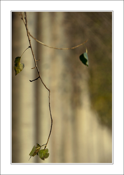 Fino ai margini...e poi oltre