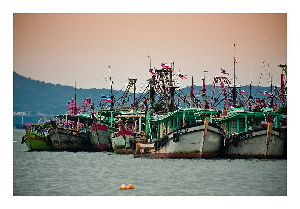 Pescherreci a Kota Kinabalu