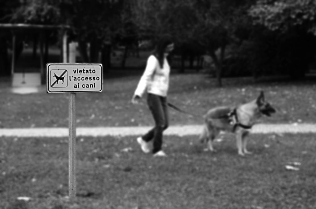 seguendo le regole...