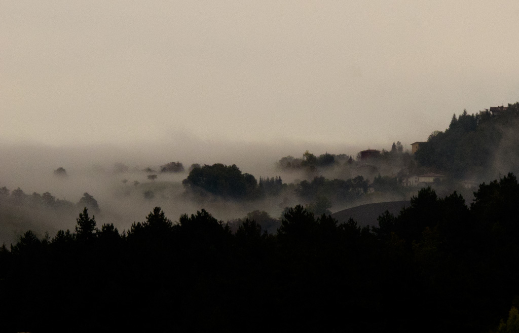 Risveglio nella nebbia