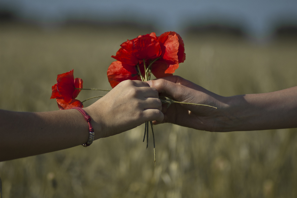 passaggio di testimone, da stagione a stagione, il gioco della primavera