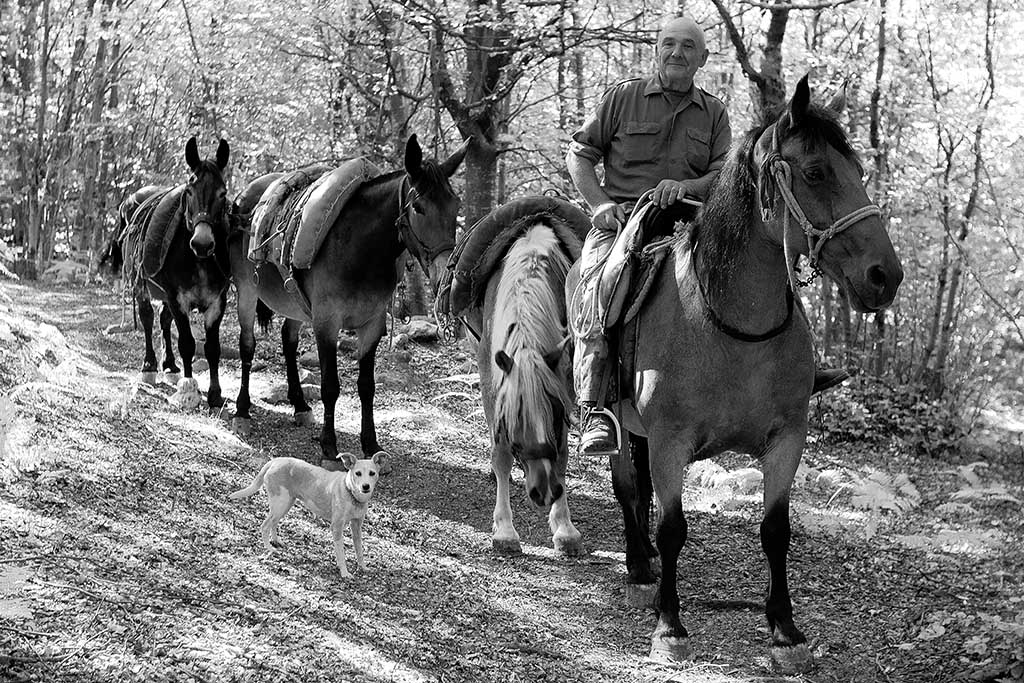 Il boscaiolo della Calvana