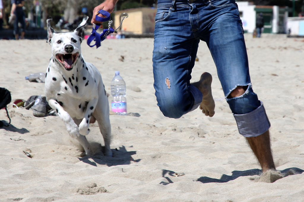 ... prova a prendermi